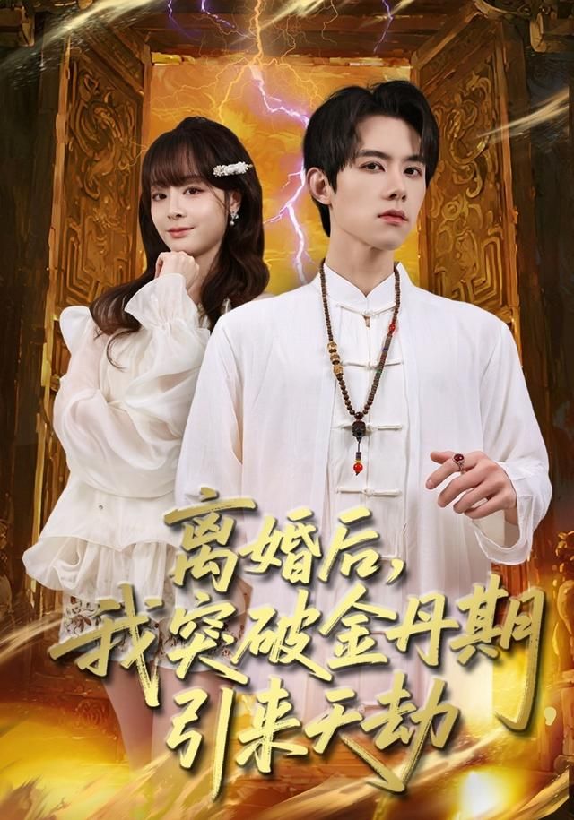 离婚后，我突破金丹期，引来天劫(全集)