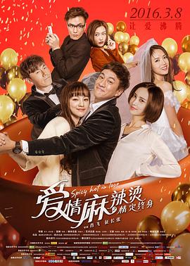 爱情麻辣烫之情定终身全集
