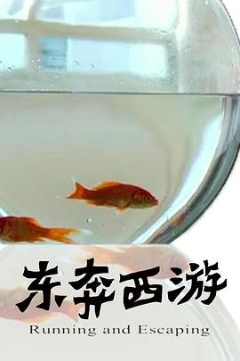 11度青春之东奔西游全集