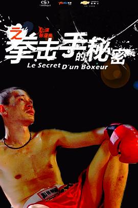 11度青春之拳击手的秘密全集