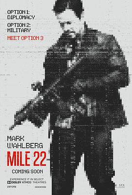 22英里全集