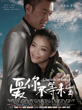 爱你不等来生全集