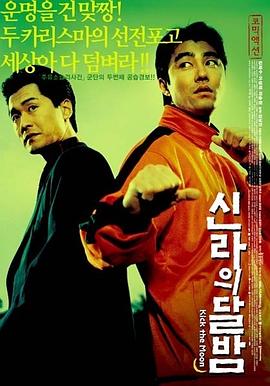 反转街头2人帮全集
