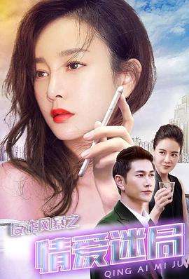 反诈风暴之情爱迷局全集