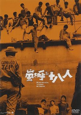 风暴时代全集