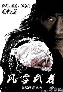风雪武者全集