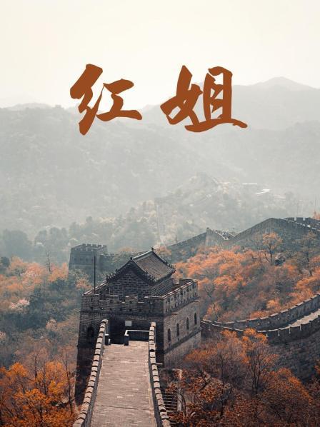 红姐2017全集