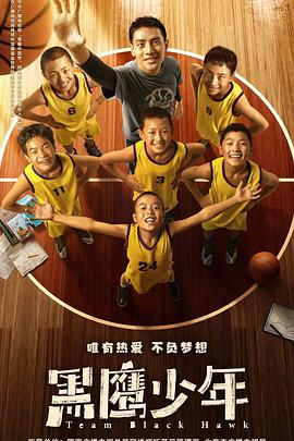 黑鹰少年全集