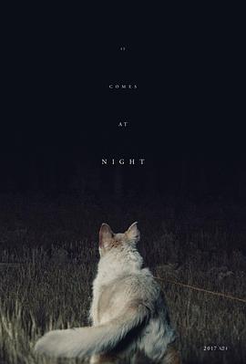 黑夜造访全集