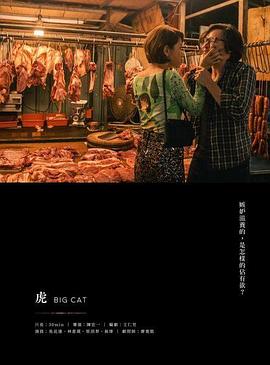 虎2019全集
