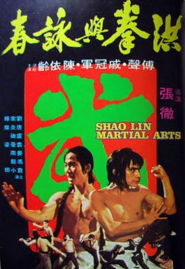 洪拳与咏春全集