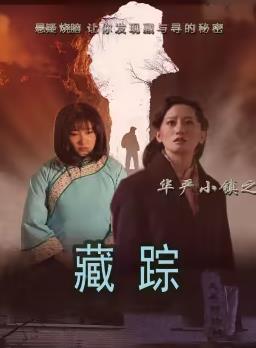 华严小镇2之藏踪全集