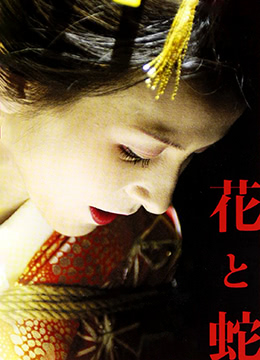花与蛇全集