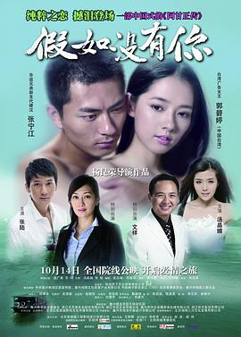 假如没有你全集
