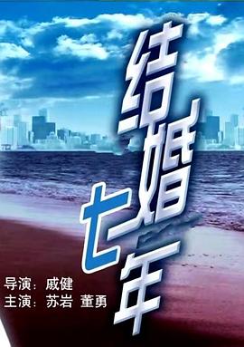 结婚七年全集