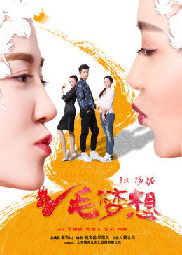鸡毛梦想全集