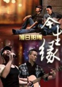 今生缘全集