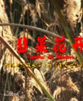 韭菜花开全集