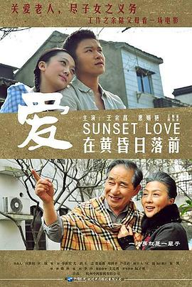 爱在黄昏日落前全集