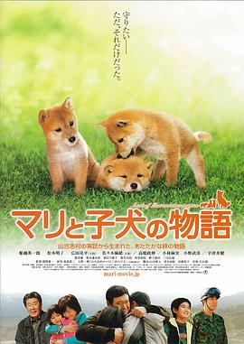 爱犬的奇迹全集