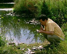 来福，来福全集