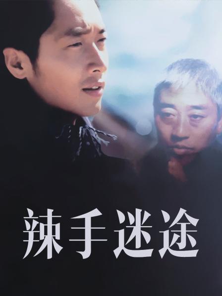 辣手迷途全集