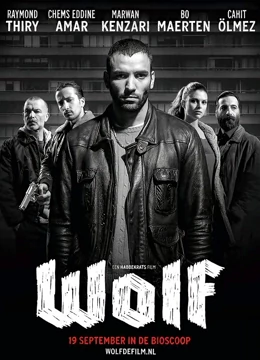狼（2013）全集