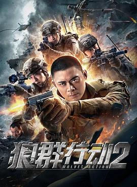 狼群行动2全集