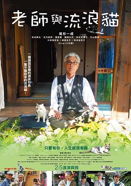 老师与流浪猫全集