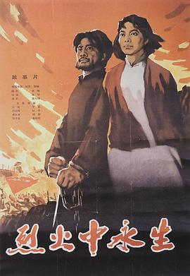 烈火中永生全集