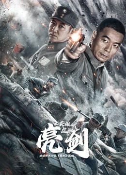 亮剑之英雄虎胆全集