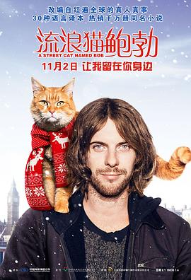 流浪猫鲍勃全集