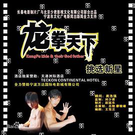龙拳天下全集