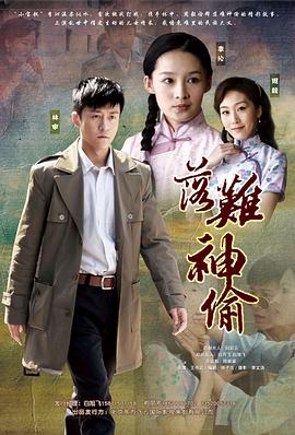 落难神偷全集