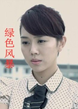 绿色风暴全集