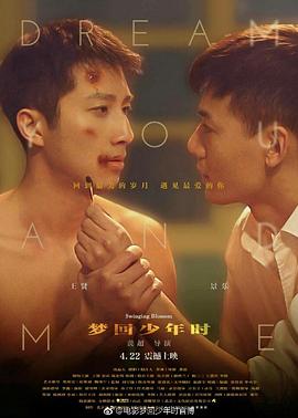 梦回少年时全集