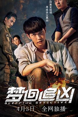 梦回追凶全集