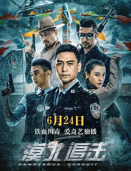 漠北追击全集