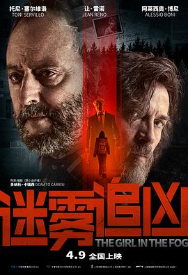 迷雾追凶全集