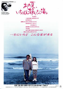 那年夏天，宁静的海全集