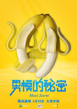 男模的秘密全集