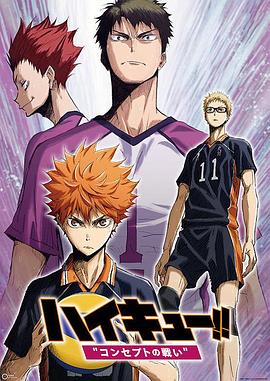 排球少年剧场版：观念之战全集