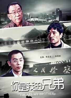 你是我的兄弟全集