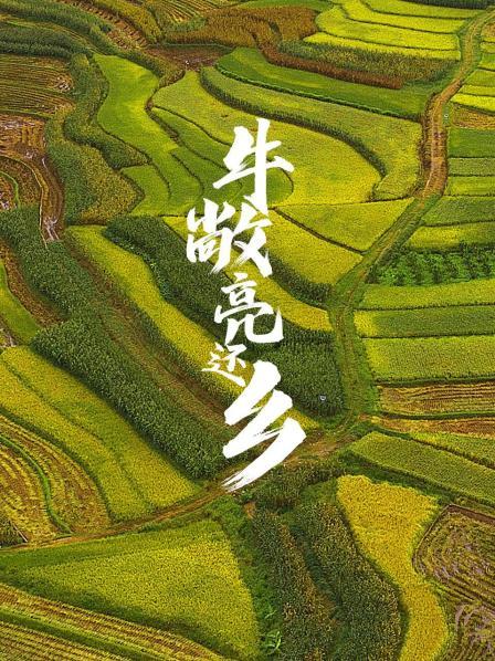 牛敞亮还乡全集