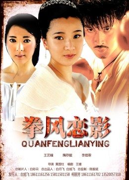 拳风恋影全集