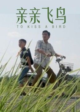 亲亲飞鸟全集