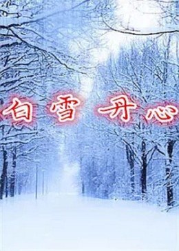 白雪丹心全集