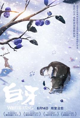 白牙全集