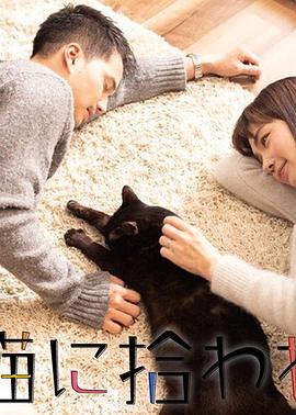 被流浪猫捡到的男人全集