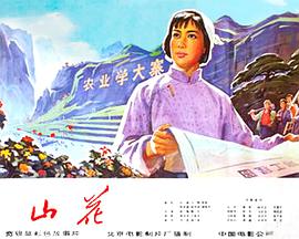 山花全集